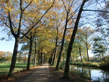 Griendtsveen : St. Barbarastraat Ecke Kanaalweg, Herbstimpressionen